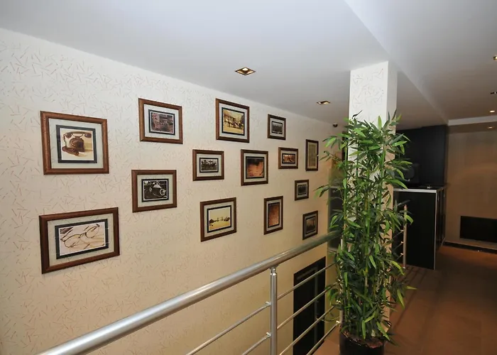 住宿加早餐酒店 Belgrade Boutique House Dedinje